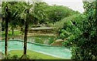 Al Jazeira Park Sharjah