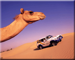 abu dhabi Sunshine Tours united arab emirates